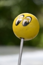 Cars 'n Coffee aan het water - Kapelle-op-den-Bos -  3 augustus 2025