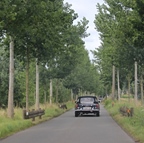 MG Day -  21 juli 2025