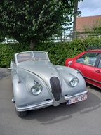 Benefietrit Het dierenthuisje -  27 juli 2025