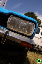 Summer Sweetness - Tielt-Winge -  21 juli 2025