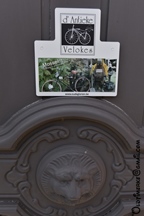 Mosselrit Antieke Velokes -  9 augustus 2025