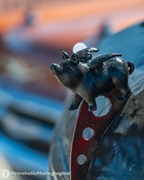 Naft & Banne -  10 augustus 2025