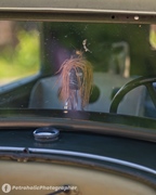 Naft & Banne -  10 augustus 2025