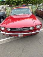 Drinks, Food & Fun -  9 augustus 2025