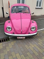 Drinks, Food & Fun -  9 augustus 2025