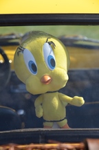 Static meeting STOF vzw te kasteel Ordingen -  15 augustus 2025