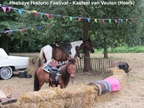 Hesbaye Historic Festival - Kasteel van Veulen (Heers) -  16 augustus 2025
