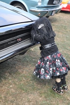 Retro Classics Bazel -  17 augustus 2025