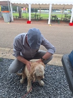 Avondrit Maaseikeroldtimerclub -  16 augustus 2025