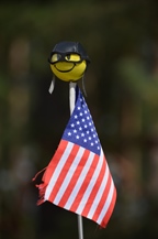 Fly-in Oostmalle -  23 augustus 2025