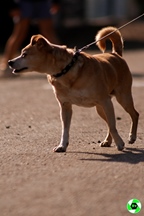 E.C.C. Tour - Zutendaal -  24 augustus 2025