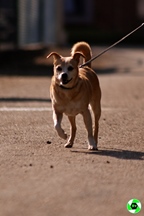 E.C.C. Tour - Zutendaal -  24 augustus 2025