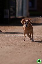 E.C.C. Tour - Zutendaal -  24 augustus 2025