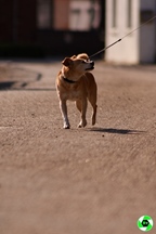 E.C.C. Tour - Zutendaal -  24 augustus 2025