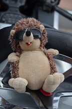 All american day -  31 augustus 2025