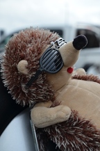 All american day -  31 augustus 2025