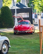 Antwerp Concours d'Elegance -  7 september 2025
