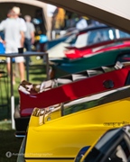 Antwerp Concours d'Elegance -  7 september 2025