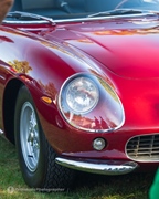 Antwerp Concours d'Elegance -  7 september 2025
