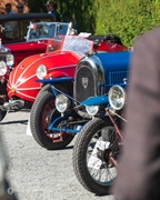 Antwerp Concours d'Elegance -  7 september 2025