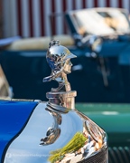 Antwerp Concours d'Elegance -  7 september 2025