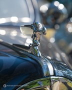 Antwerp Concours d'Elegance -  7 september 2025
