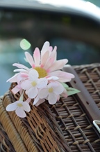 Salt city meeting 10 @ Zelzate -  7 september 2025