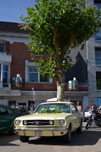 Salt city meeting 10 @ Zelzate -  7 september 2025