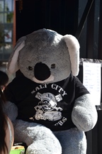 Salt city meeting 10 @ Zelzate -  7 september 2025