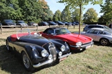 Antwerp Concours d'Elegance -  7 september 2025