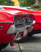 Everything On Wheels -  14 september 2025