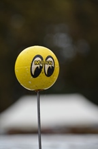 Woodgetting @ Zonhoven -  21 september 2025