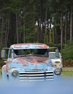 Woodgetting @ Zonhoven -  21 september 2025