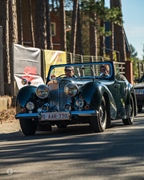 Oldtimer Meeting & rondrit Veerle-Heide -  28 september 2025