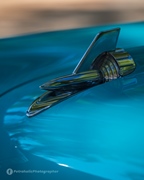 The Bratz Monkeys Meet & Greet -  28 september 2025