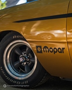 The Bratz Monkeys Meet & Greet -  28 september 2025