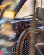 The Bratz Monkeys Meet & Greet -  28 september 2025