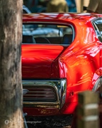 The Bratz Monkeys Meet & Greet -  28 september 2025