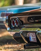 The Bratz Monkeys Meet & Greet -  28 september 2025