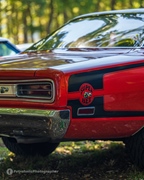 The Bratz Monkeys Meet & Greet -  28 september 2025