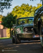 The Bratz Monkeys Meet & Greet -  28 september 2025