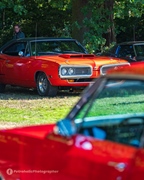 The Bratz Monkeys Meet & Greet -  28 september 2025