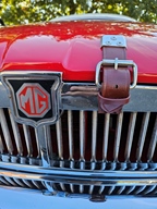 Heiderondrit Veerle -  28 september 2025