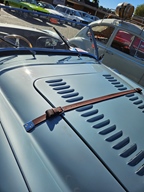 Heiderondrit Veerle -  28 september 2025