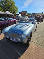 Heiderondrit Veerle -  28 september 2025