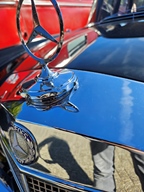 Heiderondrit Veerle -  28 september 2025