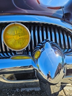 Heiderondrit Veerle -  28 september 2025