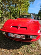 Heiderondrit Veerle -  28 september 2025