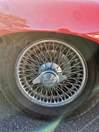 Heiderondrit Veerle -  28 september 2025