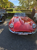 Heiderondrit Veerle -  28 september 2025